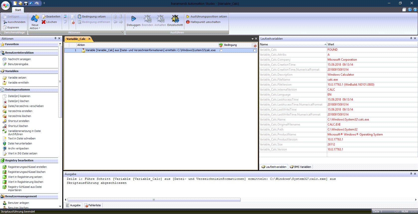 baramundi Automation Studio: Automatically determine file and directory info