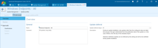 Figure 1 – Name and delay time of an update profile