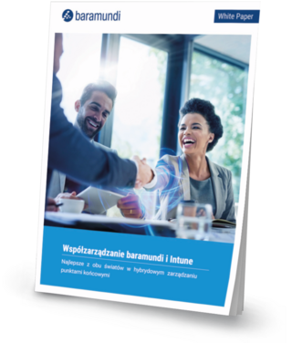 Podgląd grafiki: White paper Współzarządzanie