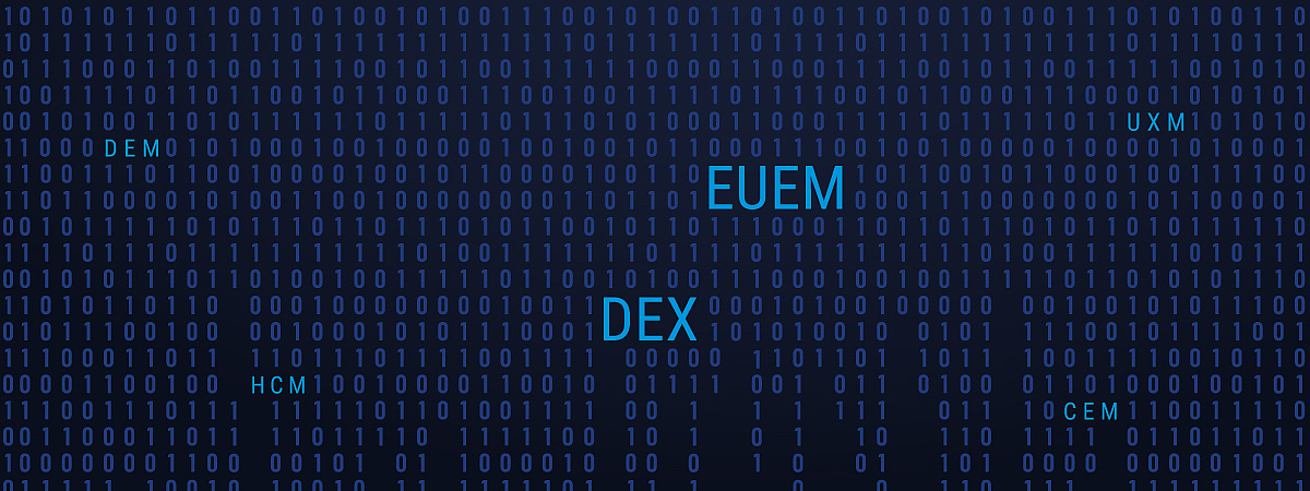 Binärcode mit den hervorgehobenen Abkürzungen "EUEM", "DEX", "HCMI", "ODEM" und "UXMI"