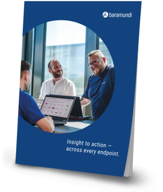 baramundi product brochure