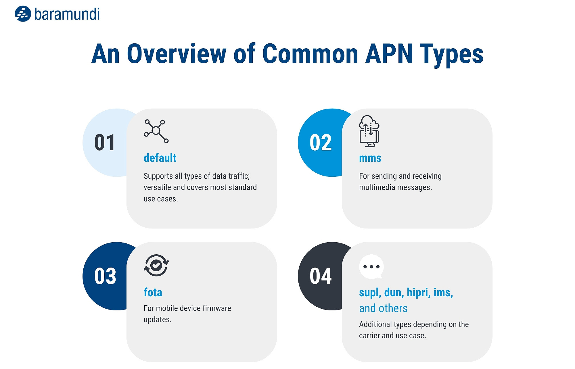 baramundi Infographic APN
