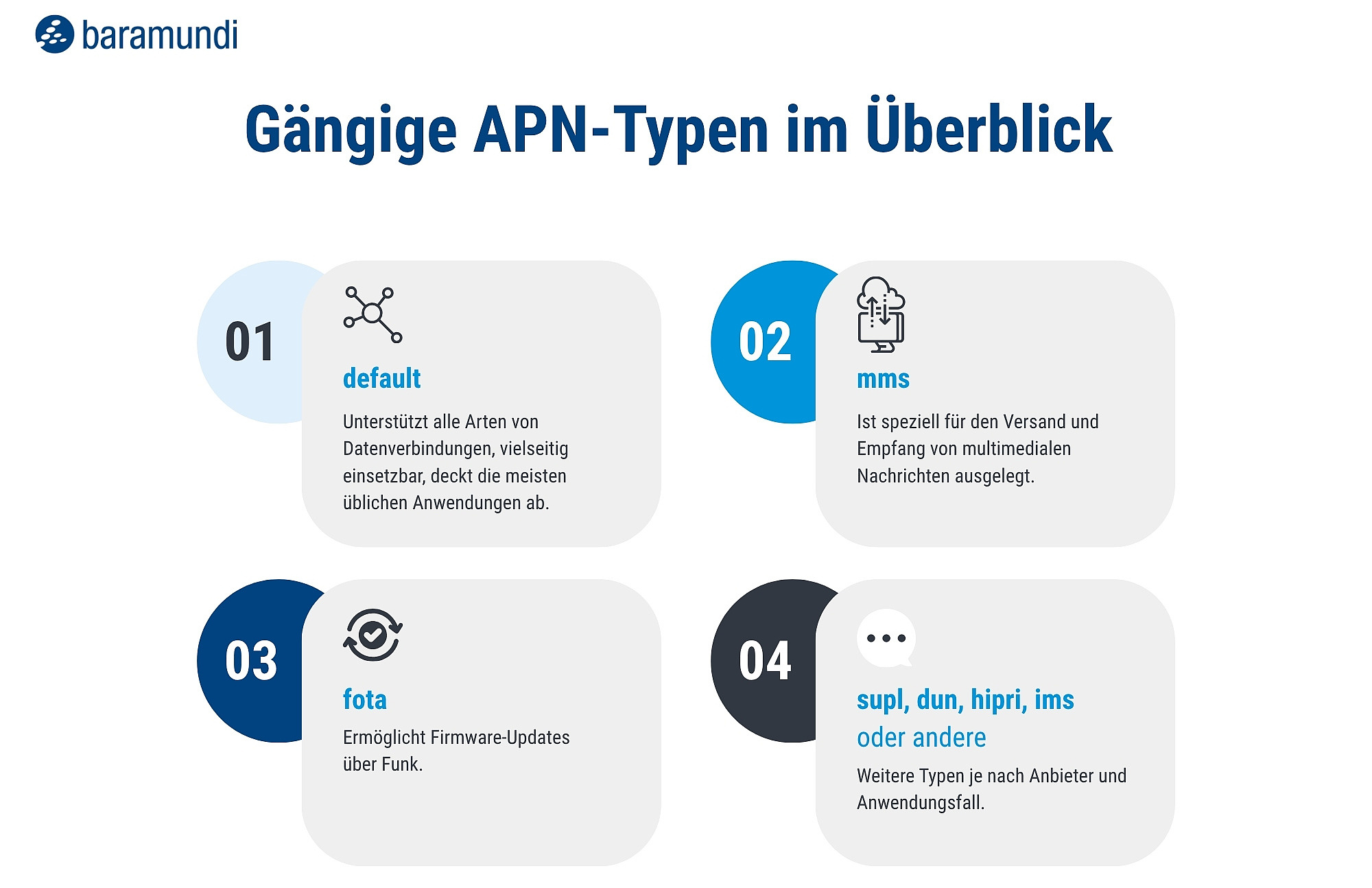 Infografik APN-Typen - Infografik APN DE baramundi Infografik APN