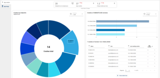 Figura 3 - Una panoramica dei crash di tutte le versioni software in uso