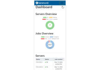 Visualizzazione responsiva su endpoint mobile