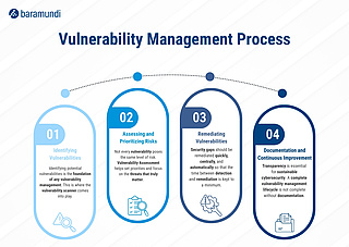 Infographic Vulnerability Management Process